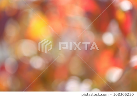 Out-of-focus of autumn leaves of dogwood [Bokeh] [Blur] 108306230