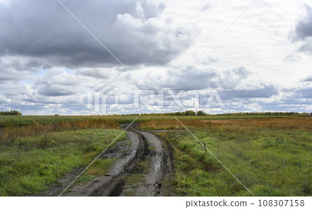 A dirt winding road in an autumn field under the sky with clouds goes to the horizon 108307158