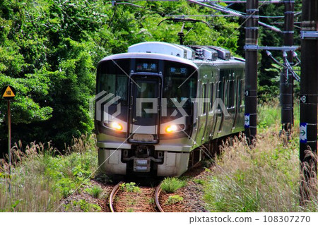 Whaling town... "Cycle train" 227 series 1000 series entering Kinokuni Line "Taiji Station" Whaling town... "Cycle train" 227 series 1000 series entering Kinokuni Line "Taiji Station" 108307270