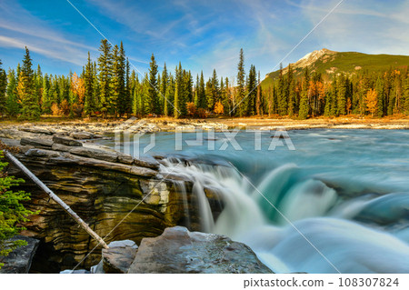 Athabasca Falls in autumn, Jasper National Park, Alberta, Canada 108307824