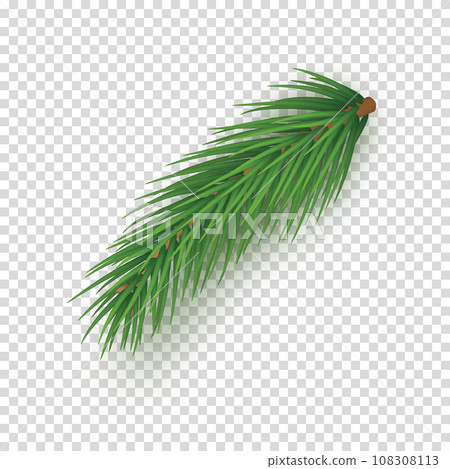 Realistic branch of christmas tree on transparent background. Green spruce tree branch vector illustration. Evergreen bushy plant detailed 3d element. Merry Christmas and Happy New Year decoration. 108308113
