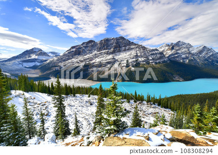View from Bow Summit of Peyto lake in Banff national park ,Canada View from Bow Summit of Peyto lake in Banff national park ,Canada 108308294