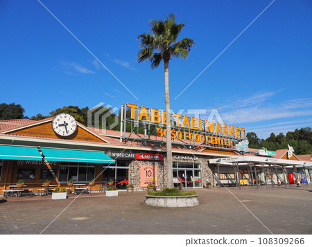 Ichihara SA（上） 108309266