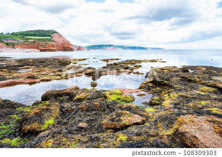Rock formations in Ladram Bay, United Kingdom. View of the beach and red and orange cliffs and the sea, Jurassic coast, selective focus Rock formations in Ladram Bay, United Kingdom. View of the beach and red and orange cliffs and the sea, Jurassic coast, selective focus 108309303