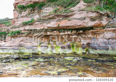 Rock formations in Ladram Bay, United Kingdom. View of the beach and red and orange cliffs and the sea, Jurassic coast, selective focus Rock formations in Ladram Bay, United Kingdom. View of the beach and red and orange cliffs and the sea, Jurassic coast, selective focus 108309320