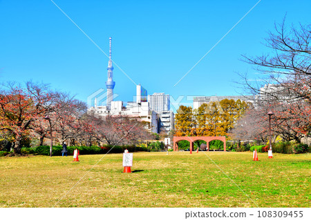 Metropolitan Sarue Park (Koto-ku, Tokyo) [2020.11] 108309455