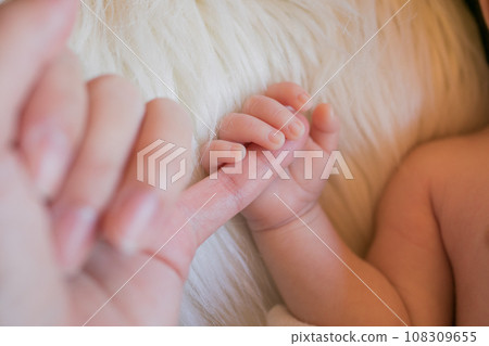 baby and mom's hands 108309655