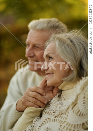 Elderly couple dance in the park in autumn. 108310842