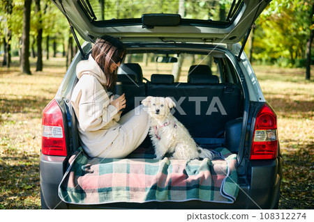Young woman and cute dog relaxing enjoying happy moment in the forest sitting in car trunk. Young woman and cute dog relaxing enjoying happy moment in the forest sitting in car trunk. 108312274