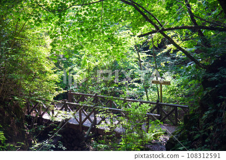 水戶山路/橋樑(東京都西多摩區日野原村) 水戶山路/橋樑(東京都西多摩區日野原村) 108312591