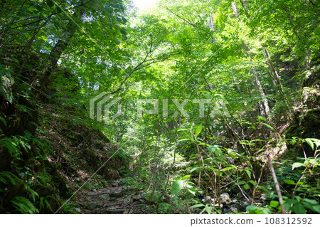 水戶山登山道(東京都西多摩區日野原村) 水戶山登山道(東京都西多摩區日野原村) 108312592