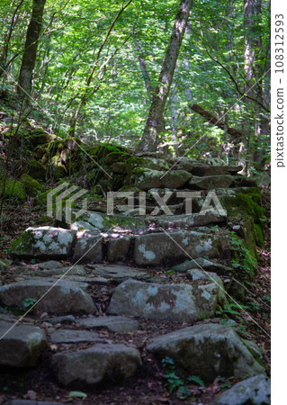 水戶山登山道/石階（東京都西多摩區日野原村） 108312593