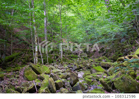 水戶山路與碎石路（東京都西多摩區日野原村） 108312596