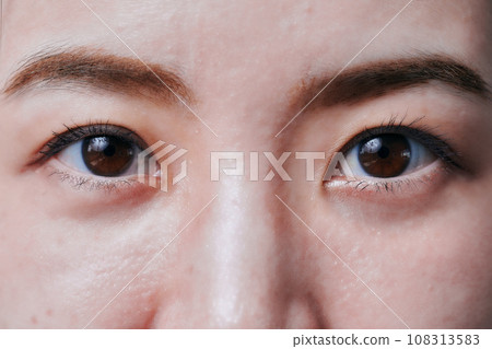 Eyes of a woman in her 30s 108313583