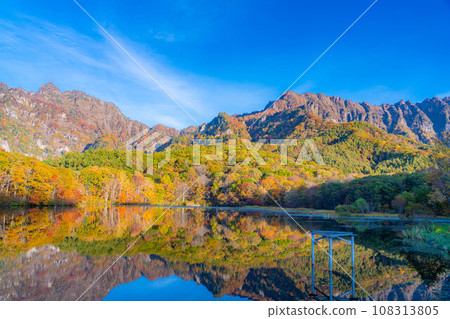 [秋天的素材]秋天的戶隱高原鏡池[長野縣] 108313805