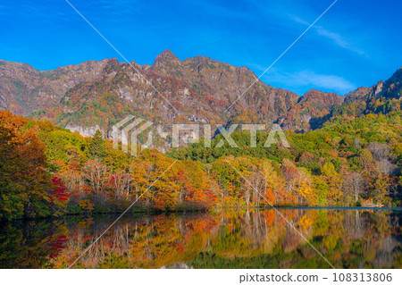 [秋天的素材]秋天的戶隱高原鏡池[長野縣] 108313806