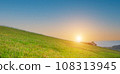 beautiful grass field with blue sky. Countryside landscape view background. 108313945