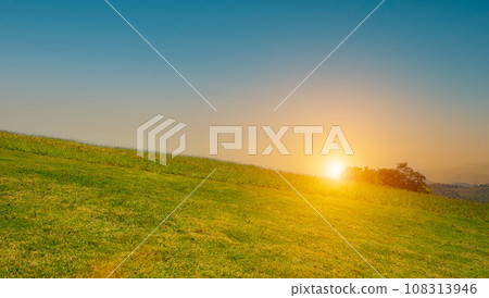 beautiful grass field with sunset or sunrise sky. Countryside landscape view background. beautiful grass field with sunset or sunrise sky. Countryside landscape view background. 108313946