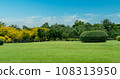 Beautiful grass field and tree with blue sky. Countryside landscape view background 108313950