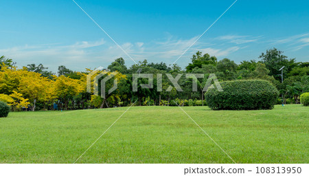 Beautiful grass field and tree with blue sky. Countryside landscape view background 108313950