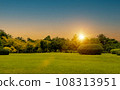 beautiful grass field and tree with sunset or sunrise sky. Countryside landscape view background. 108313951