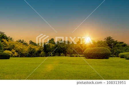 beautiful grass field and tree with sunset or sunrise sky. Countryside landscape view background. 108313951