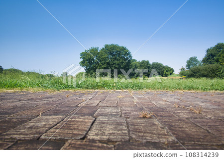 Blue sky and empty park road 108314239