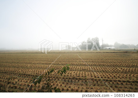 Azumino rural area shrouded in morning mist Azumino rural area shrouded in morning mist 108314263