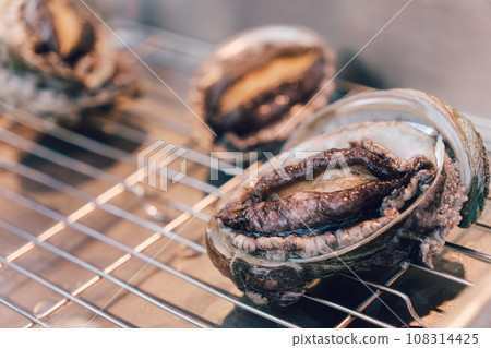 Abalone Live abalone 108314425