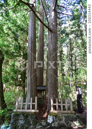 三岳神社前的神社與杉木 若宮佐藤社 三岳神社前的神社與杉木 若宮佐藤社 108314443
