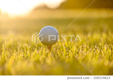 高爾夫形象 108314623