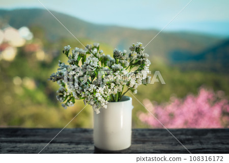 Gypsophila paniculata the baby's breath, common gypsophila or panicled baby's-breath in vase against mountains of Da Lat in Vietnam 108316172