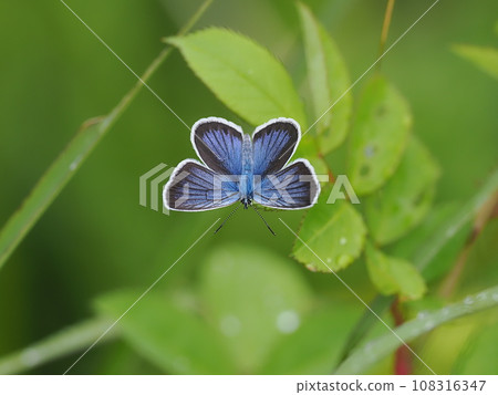 由翻譯提供支持 108316347