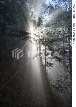 Seasonal natural scene, Sulov rocks, Slovakia Seasonal natural scene, Sulov rocks, Slovakia 108318261