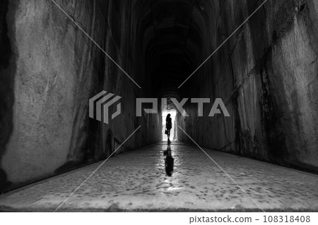 apollon temple in didim aydin in turkey apollon temple in didim aydin in turkey 108318408