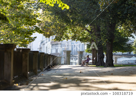A park at summertime - alley with plant and bench - european city 108318719