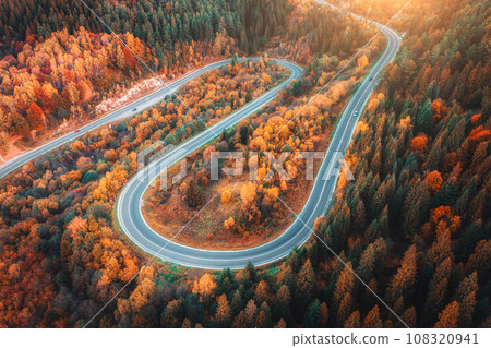 Aerial view of mountain road in forest at sunset in autumn 108320941
