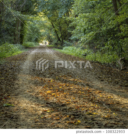 Katy Trail near McKittrick, Missouri, in early fall scenery - 237 mile bike trail converted from an old railroad Katy Trail near McKittrick, Missouri, in early fall scenery - 237 mile bike trail converted from an old railroad 108322933