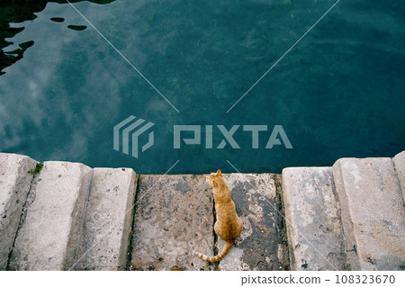 Red cat sits on stone steps and looks at the sea. Top view Red cat sits on stone steps and looks at the sea. Top view 108323670