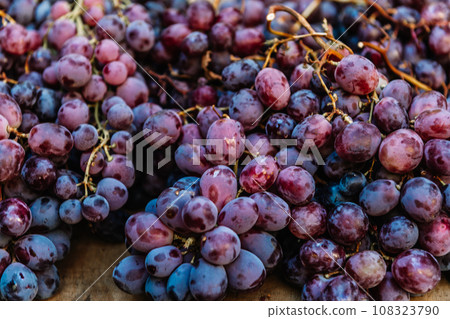 Close up of raw organic sweet red grapes, wine grapes texture. 108323790