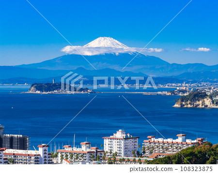 Fuji and Shonan Coast 108323875