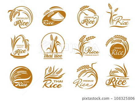 Rice icons with cereal plants and paddy grains. Vector gold leaves and seeds of farm field crop plant, bowl and grains pile silhouettes in round frames, thai and jasmine rice packaging labels set Rice icons with cereal plants and paddy grains. Vector gold leaves and seeds of farm field crop plant, bowl and grains pile silhouettes in round frames, thai and jasmine rice packaging labels set 108325806