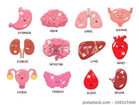 Cartoon sick body organ characters. Injured and unhealthy organ personages of vector brain, heart, blood and liver, kidneys, stomach, spleen and bladder, intestine, uterus, lungs and thyroid gland Cartoon sick body organ characters. Injured and unhealthy organ personages of vector brain, heart, blood and liver, kidneys, stomach, spleen and bladder, intestine, uterus, lungs and thyroid gland 108325906