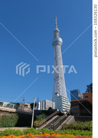 公園花壇和天空樹 公園花壇和天空樹 108326130
