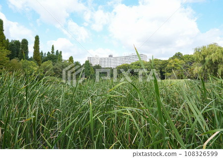 與Susuki的風景 與Susuki的風景 108326599