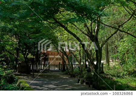 Route to Kokeizan Eihoji National Treasure Kaizando 108326868