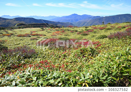 Near the Manza Onsen route from Yamada Pass, Shiga Kusatsu Highlands, autumn pattern Near the Manza Onsen route from Yamada Pass, Shiga Kusatsu Highlands, autumn pattern 108327582