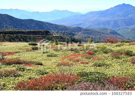 Near the Manza Onsen route from Yamada Pass, Shiga Kusatsu Highlands, autumn pattern 108327583
