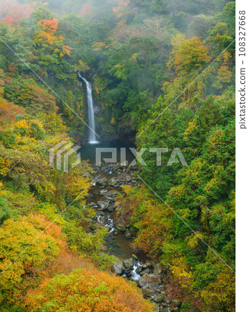 靜岡_大田瀑布和紅葉的壯麗景色 108327668