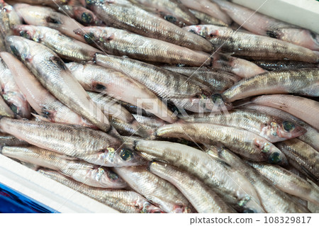 墨西卡利魚 墨西卡利魚 108329817